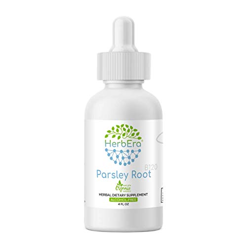 image for HerbEra Parsley Root B120 Alcohol-Free Herbal Extract Tincture, Super-