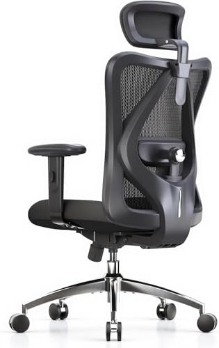 SIHOO Ergonomic Office Chair Computer Chair Desk Chair, Adjustable Headrests Chair Backrest and Armrest's Mesh Chair (2 Packs Black)