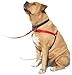 SENSE-ation No-Pull Dog Harness - 3/4