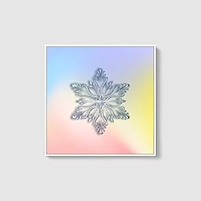 Framed Canvas Wall Art for Living Room, Bedroom Snowflake Theme Canvas Prints for Home Decoration Ready to Hang - 16x16 inches