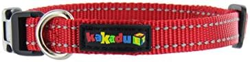 Empire Tracks Adjustable Nylon Dog Collar by Kakadu Pet, Small, 1/2" x 10-14", Fire (Red with Gray Stitch)