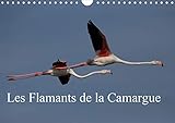 Les Flamants de la Camargue 2020: Scenes de la vie d'une espece fascinante. (Calvendo Nature) (Frenc by