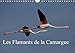 Les Flamants de la Camargue 2020: Scenes de la vie d'une espece fascinante. (Calvendo Nature) (Frenc by