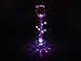 Light-Up Color Changing Glass Rose