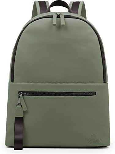 北欧スウェーデンデザイン「The Friendly Swede」STORVRETA バックパック リュック デイパック ビジネス 学校 通勤 通学 メンズレディース共用 ビーガン 13インチ ノート パソコン 15L