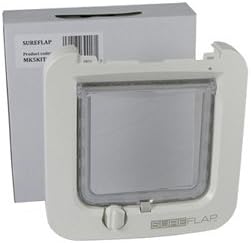 best dogs for apartment living and hiking