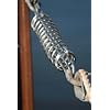 SeaLux-Stainless-Steel-Shock-Absorbing-Dock-Mooring-Line-Springs-10-58-275-mm-up-to-20-feet-hull-Small SeaLux-Stainless-Steel-Shock-Absorbing-Dock-Mooring-Line-Springs-10-58-275-mm-up-to-20-feet-hull-Small