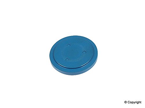 002 FINAL DRIVE FLANGE PLUG, dune buggy vw baja bug