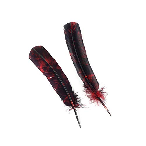 Zucker 6 pc Tie Dye Turkey Feathers Craft Supplies, Headdress/Dream Catcher - 10-12 inch - Red and Black