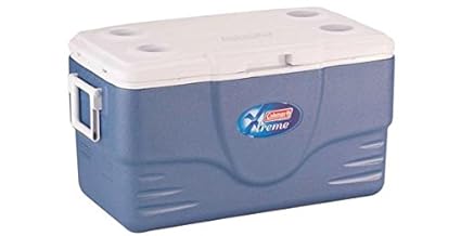 bison coolers 25 qt