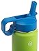 Thermoflask Kids Double Wall Vacuum Insulated Stainless Steel (Green/Blue)