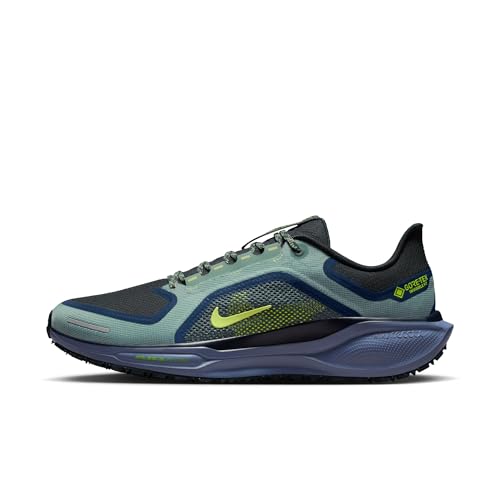 Pegasus 41 Gore-Tex Men s Running Shoes