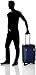 Victorinox Werks Traveler 5.0 WT Softside Spinner Luggage, Navy Blue, Carry-On (22
