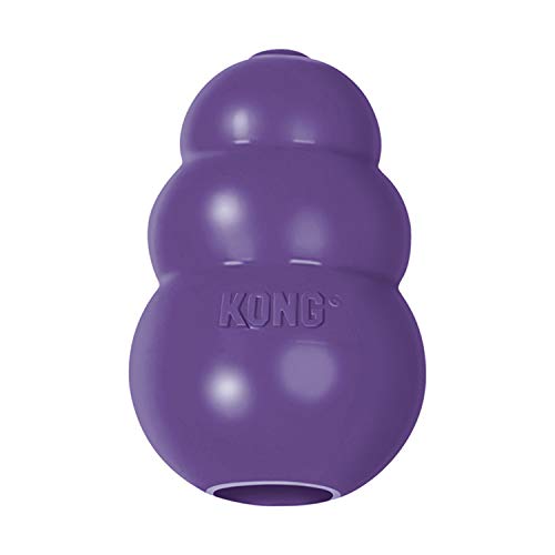 KONG Senior Medium