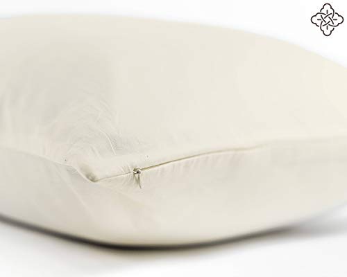 BIOWEAVES 100% Organic Cotton Body Pillow Cover for Body Pillowcases 300 Thread Count Soft Sateen Weave GOTS Certified with Zipped Closure - 21" x 54", Natural