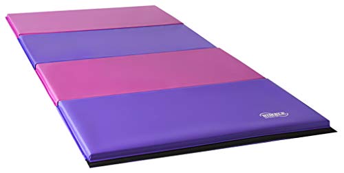 Little Gym - Adjustable Horizontal Bar - Purple Low Balance Beam - Pink/Purple Gymnastics Folding Mat
