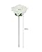 Leegoal(TM) Artificial Rose Flowers Bridal Wedding Bouquets (Ivory,20pcs)