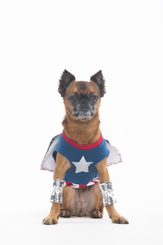 Fashion Pet Halloween Superdog Boy Costume for Dogs, X-Small