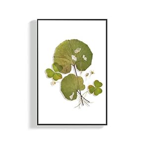 Canvas Wall Art for Living Room, Bedroom Leaves Framed Canvas Prints for Home Decoration Ready to Hang - 16x24 inches