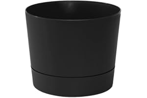 Root & Vessel Majestic Mid-Century Modern Low Profile Cylinder Pot, Matte Black, 6.5"