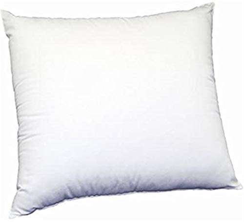 feather pillow inserts 22x22