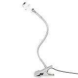 IEKA LED Desk Lamp,Studying and Reading Adjustable Eye-Care 2 Color Temperature Settings Clip on Light for Desk,Office, Bed Headboard and Computers (Silver)