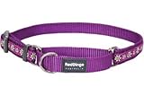 Red Dingo Designer Martingale Dog Collar, Medium, Daisy Chain Purple