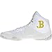 ASICS Men's JB Elite IV Wrestling Shoes, 10M, Brilliant White/Rich Gold