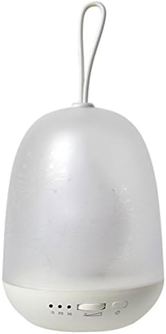 HOPESOOKY Portable Colorful LED Night Lamp Colorful Baby Room Night light Timer Atmosphere Lamp (White)