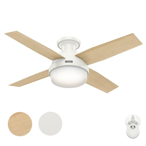 Hunter Fan 44 inch Indoor Ceiling Fan with Light