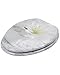 Sanilo Elongated Toilet Seat, Wide Choice of Slow Close Toilet Seats, Molded Wood, Strong Hinges (Good Feeling)