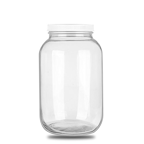 1-Gallon Glass Jar,Clear Glass Gallon Bottle with Plastic Lid. BPA-Free Dishwasher Safe Kombucha Jar,for Fermenting,Kefir,Storing and Canning.