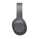 Sony WH-H900N