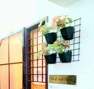 Vinshra Vertical Wall Garden Hanging 4 Pots (Black, Color)