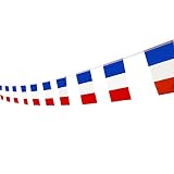 Kind Girl France Flag French Flag,100Feet/76PcsNational Country World Pennant Flags Banner,Party Decorations Supplies for Olympics,Bar,Indoor and Outdoor Flags,Intarnational Festival