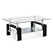 SUNCOO Coffee Table Glass Top with Shelves Home Furniture Clear Rectangle (Black)