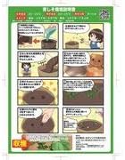 Amazon Co Jp Dcm 超簡単 栽培セット 青しそ Diy 工具 ガーデン