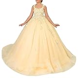 Tulle Flower Girl Dress for Wedding Lace Applique