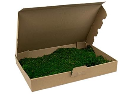 Premium Flachmoos konserviert, ausgesuchtes, echtes haltbares Moos für die Dekoration kaufen, Prime, Moss, Deko, Dekoration, 