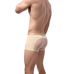 Laxier 2 Pack of Men Boxer Briefs Transparent