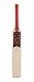 General Motors GM Mana 101 Kashmir Willow Cricket Bat, Short Handle