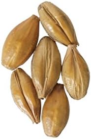Malt - Crisp - English Brown (55 lb Sack)