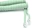 Telephone Cord Handset Curly - Phone Color Earth Day Green 25ft - Works on virtually All Trimline Phones and Princess Telephones - Landline Telephone Accessory iSoHo Phones