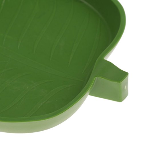 image for Baosity 4Pcs Shallow Reptile Amphibians Food and Water Dish Small Pets