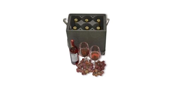 Envase Nevera para Botellas 6 cavidades (Pack 3 Unid.): Amazon.es ...