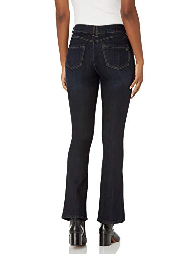 democracy ab solution itty bitty bootcut jeans