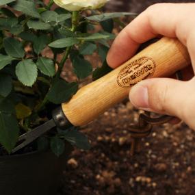 DEWIT(デウィット) ミニフォーク 2本爪 No.3472