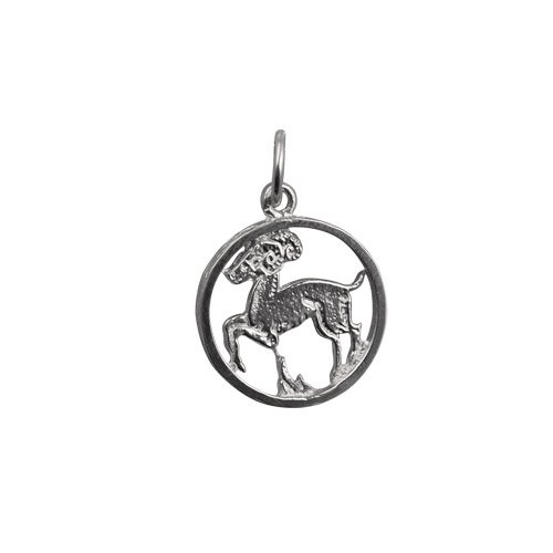 Silver 11mm pierced Aquarius Zodiac Pendant