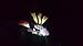 Solar Calla Lily, Solar Lights, Decorative Garden Lights
