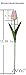 ALIERSA 10-Heads Tulips Artificial Flowers Arrangement Centerpiece Decoration Flowers for Wedding Flowers Bouquets Office Desk (Pink)